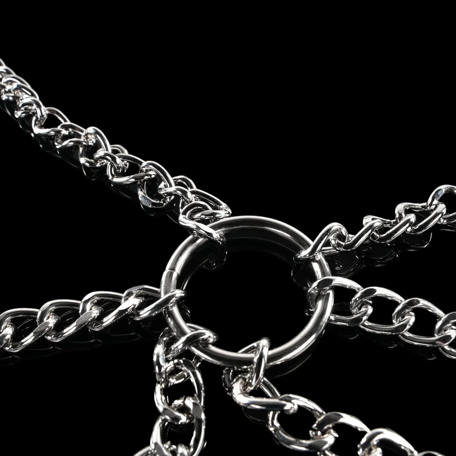 Collar to Nipple and Labia Clamps By Kink - Image 5