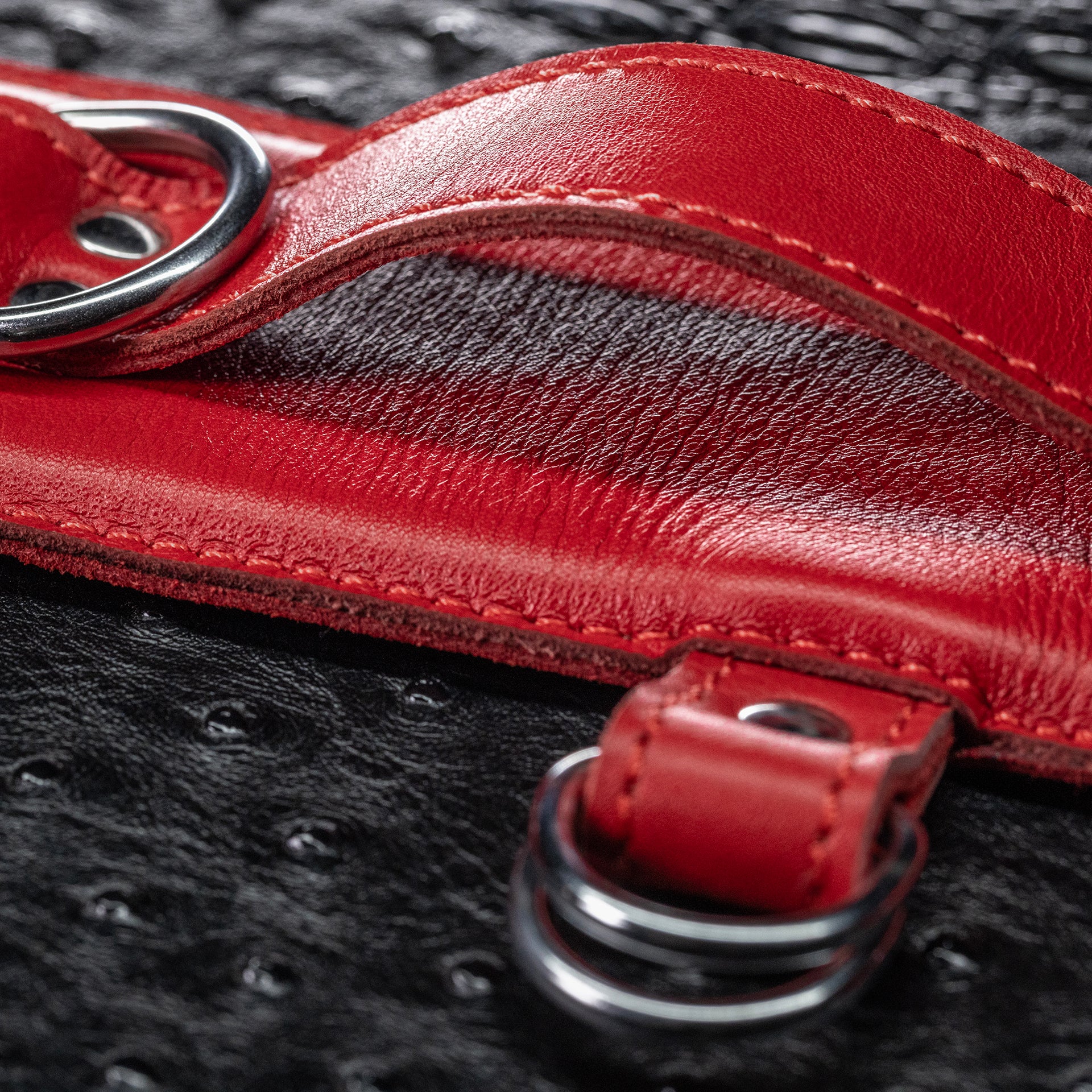 E-Stim Anal Bondage Kit by Kink - Image 22