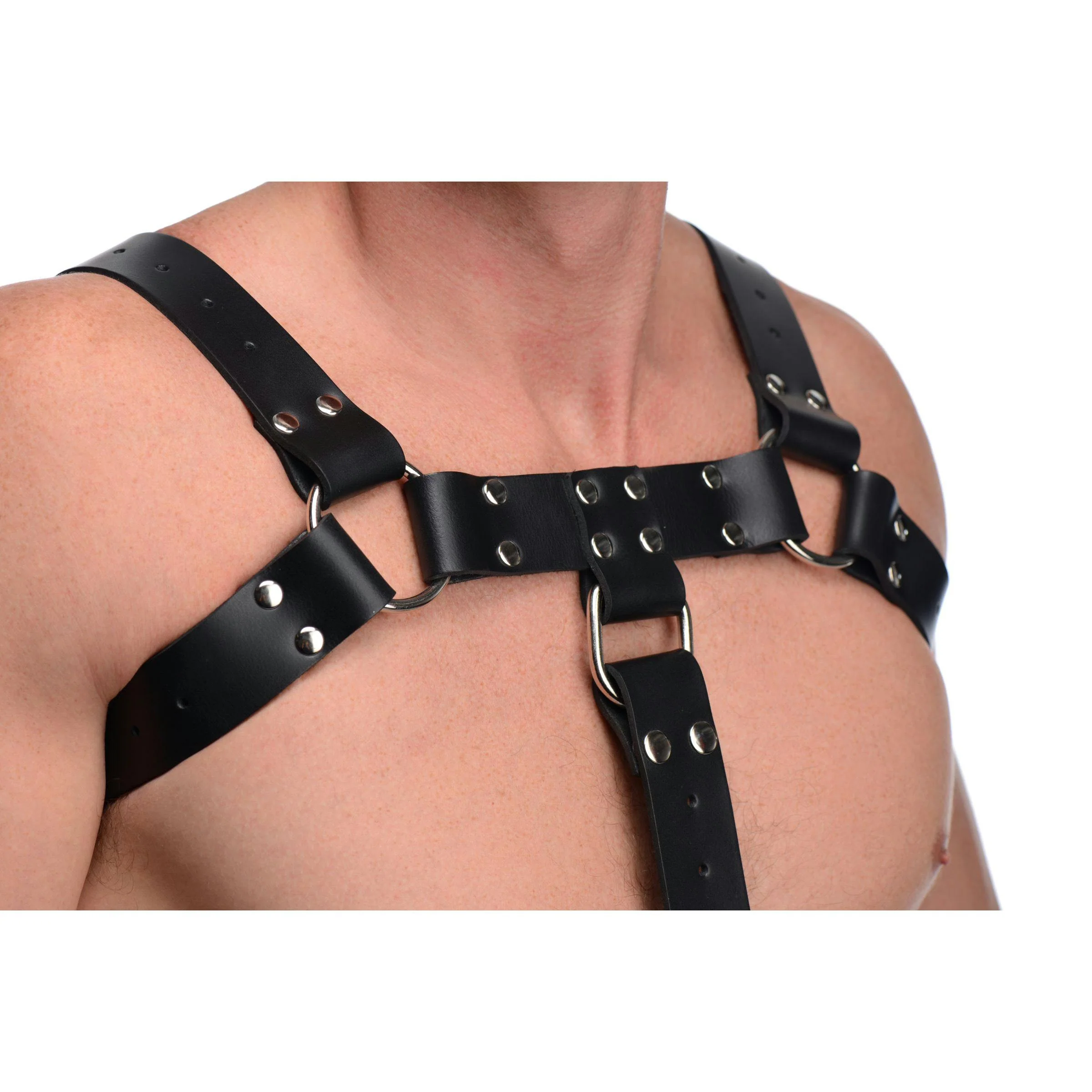 English Bull Dog Harness with Cock Strap - Image 3