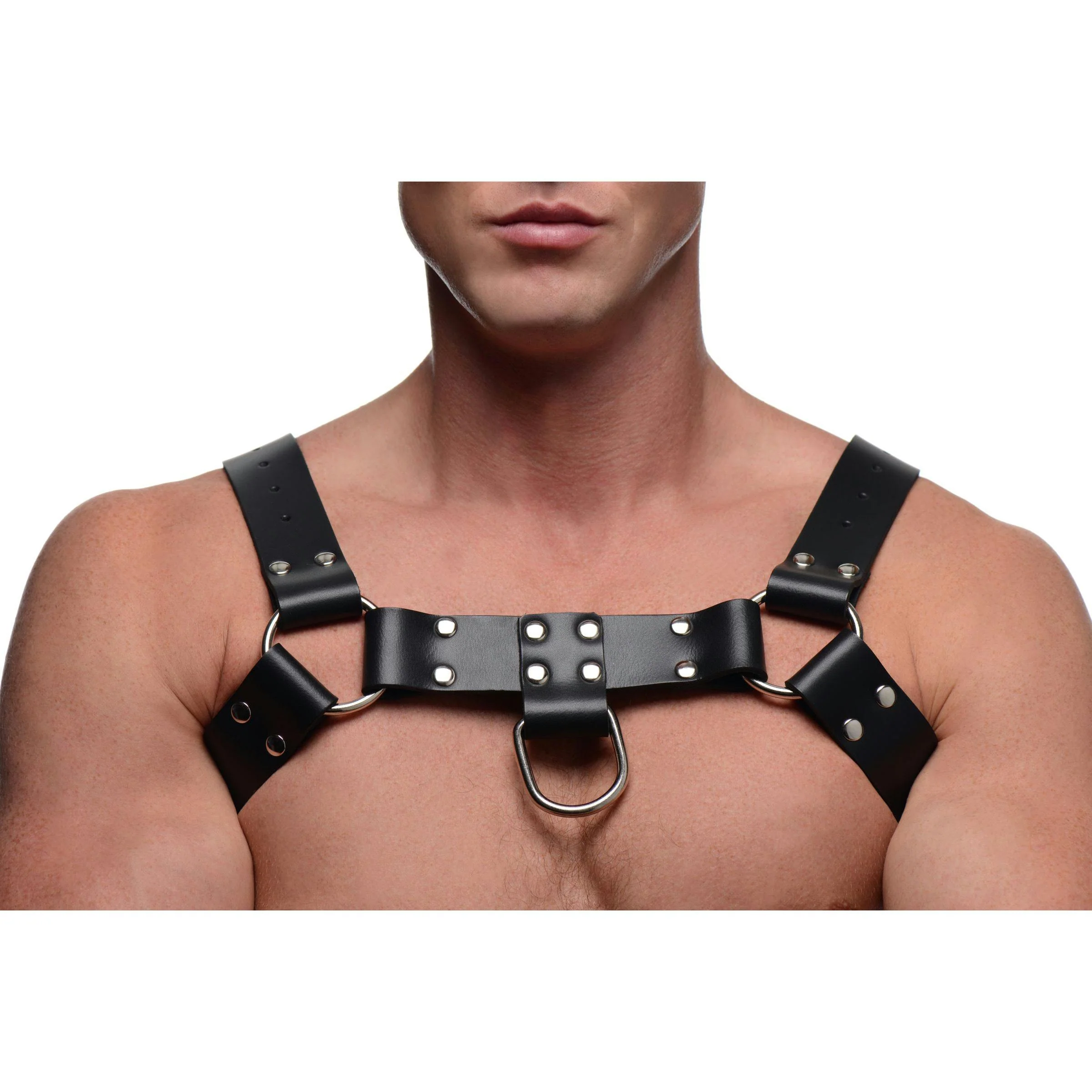 English Bull Dog Harness with Cock Strap - Image 4
