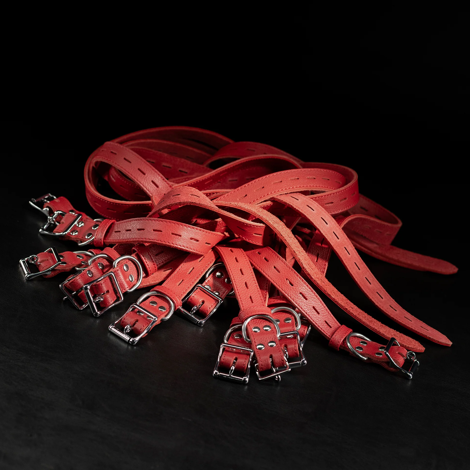 Leather Bondage Belt Sets - Image 13