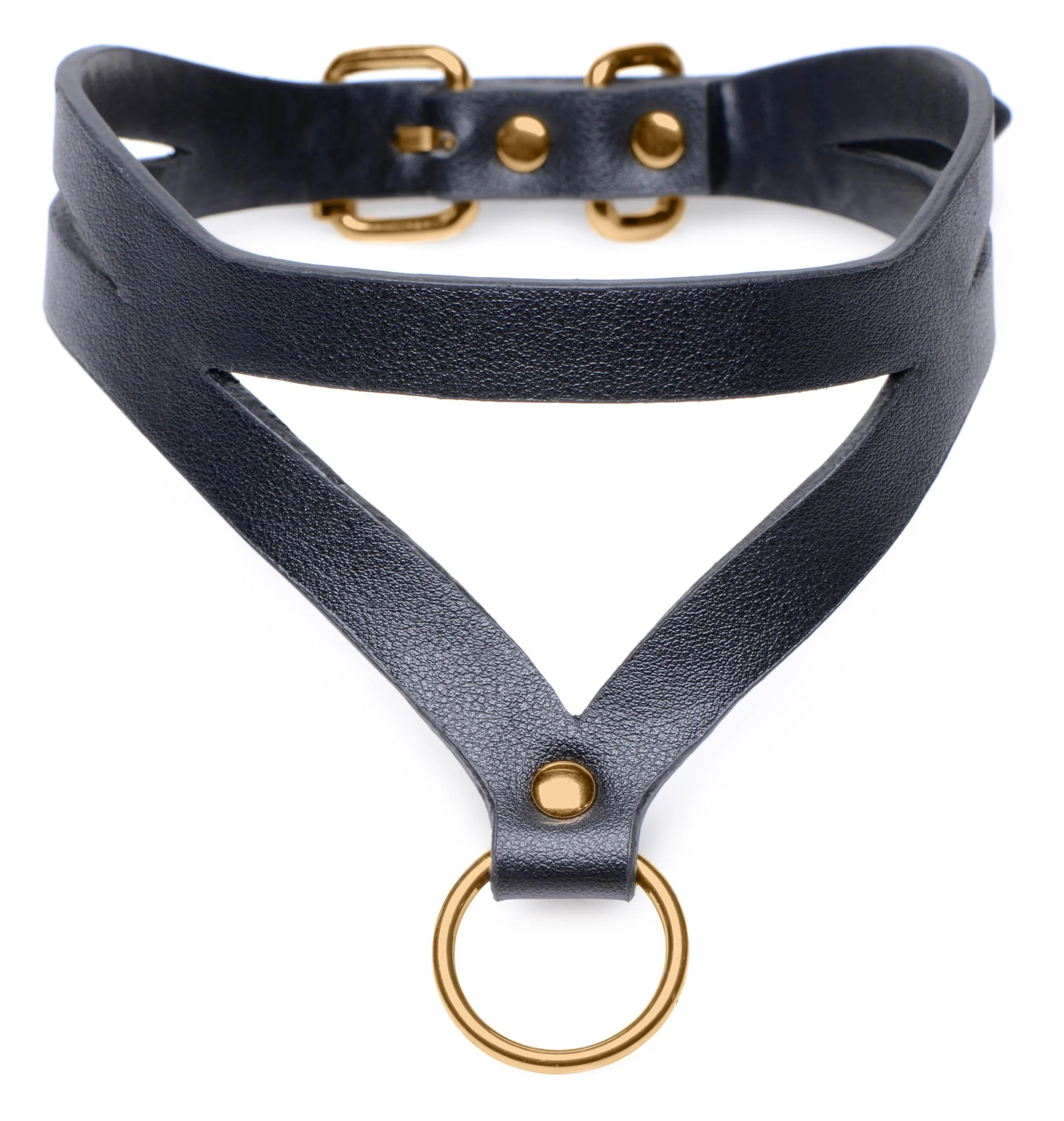 Black and Gold Collar with Leash Kit - Image 3
