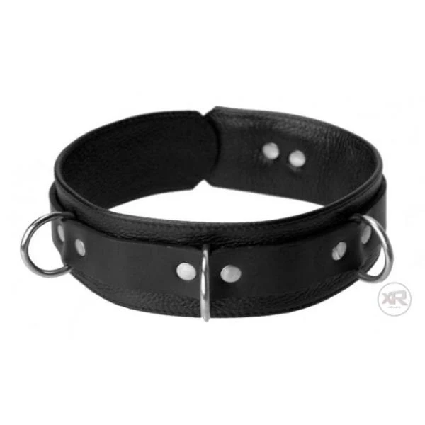 Sick Puppy Leash and Collar Kit - Image 3