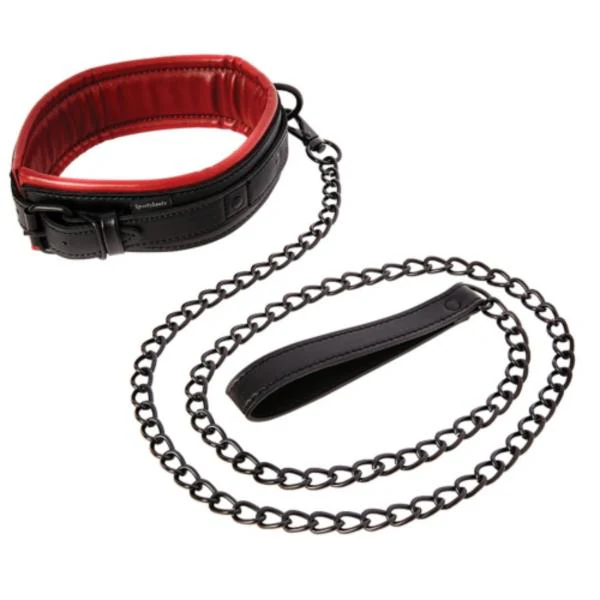 Vegan Leather Collar & Leash - Image 4